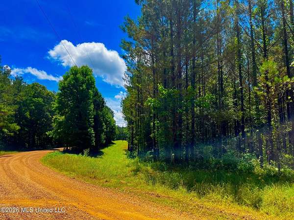 7.5 Acres of Residential Land for Sale in Brookhaven, Mississippi