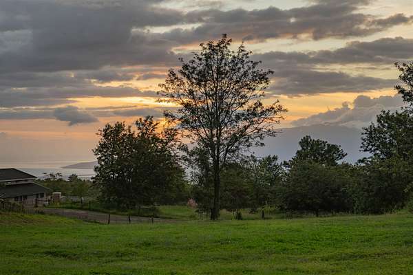 1 Acre of Residential Land for Sale in Makawao, Hawaii