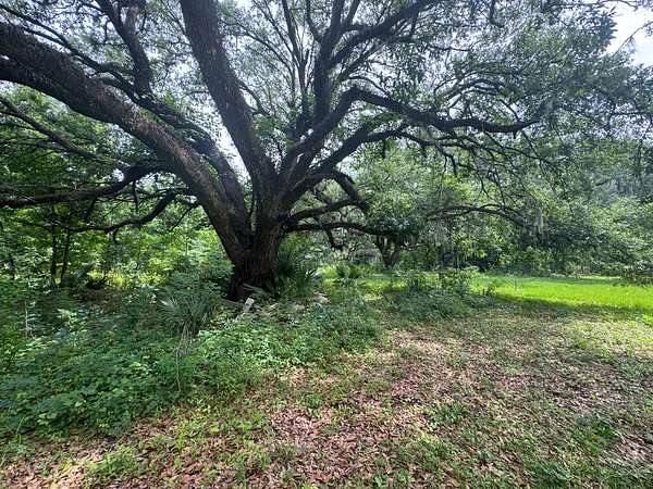 14.3 Acres of Land for Sale in Belle River, Louisiana