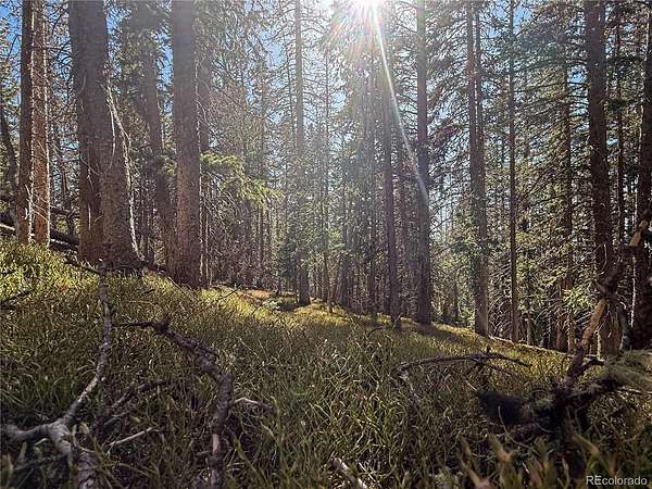 5.28 Acres of Residential Land for Sale in Fort Garland, Colorado