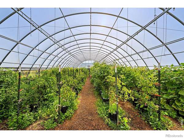 4.32 Acres of Land with Home for Sale in Wellington, Colorado