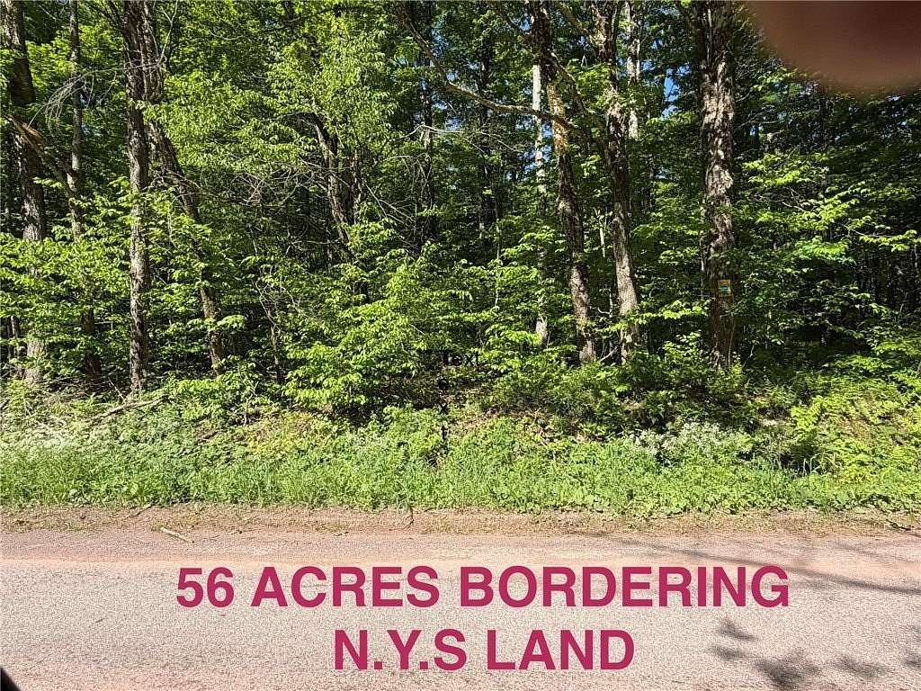 56 Acres of Recreational & Residential Land for Sale in Andes, New York