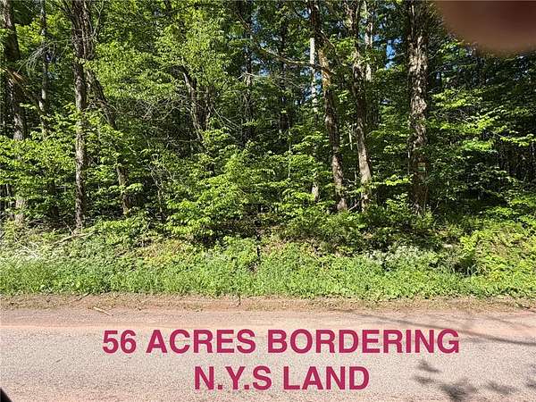 56 Acres of Recreational & Residential Land for Sale in Andes, New York