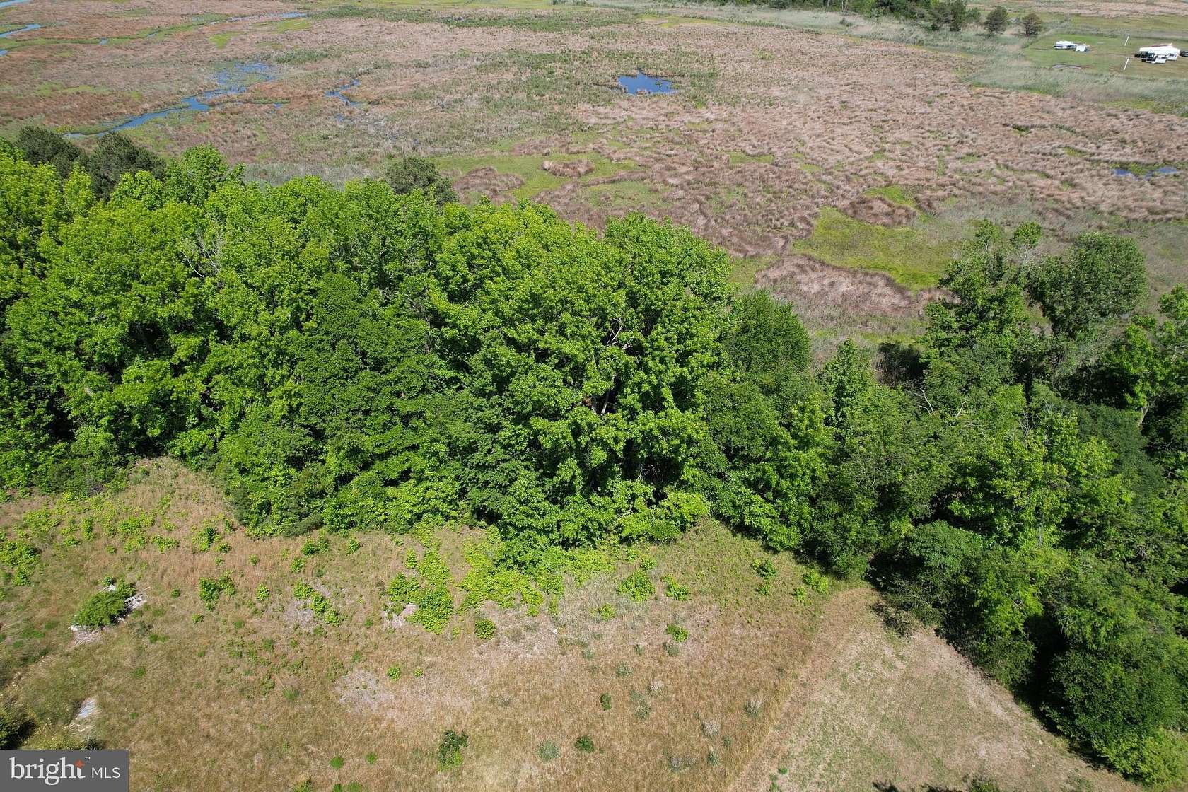1.75 Acres of Residential Land for Sale in Deal Island, Maryland