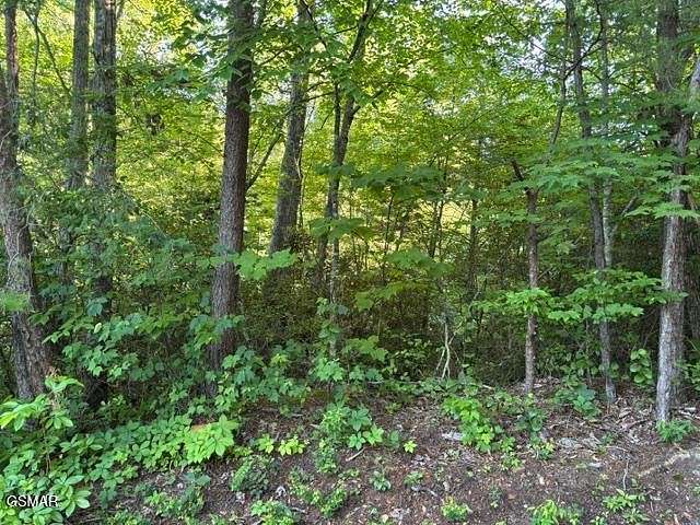 0.25 Acres of Residential Land for Sale in Sevierville, Tennessee