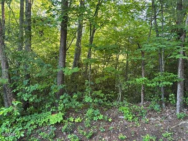 0.25 Acres of Residential Land for Sale in Sevierville, Tennessee