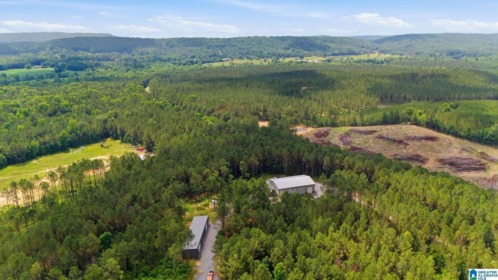 22 Acres of Agricultural Land with Home for Sale in Springville, Alabama