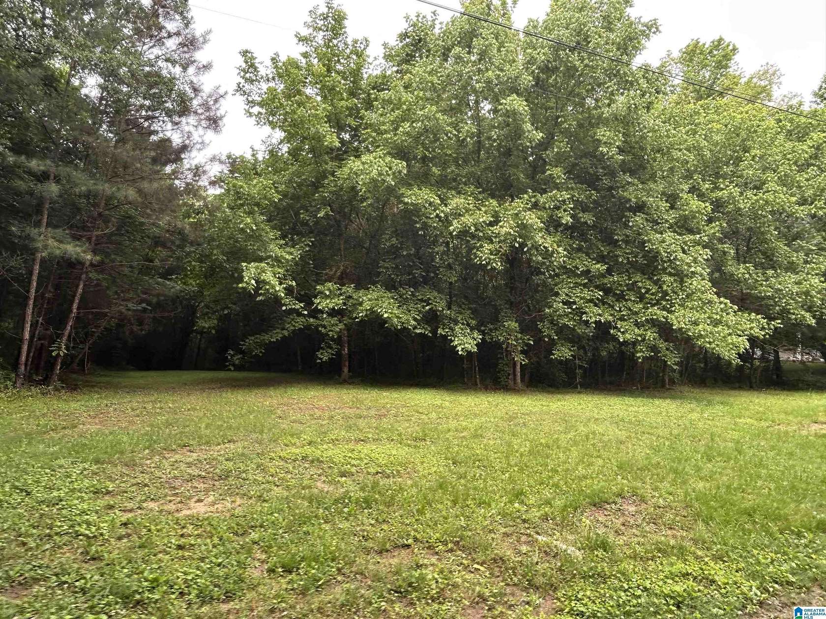 1 Acre of Residential Land for Sale in Helena, Alabama