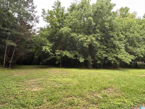 1 Acre of Land for Sale in Helena, Alabama