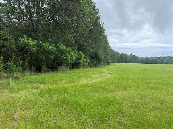 61.2 Acres of Land for Sale in Amite, Louisiana