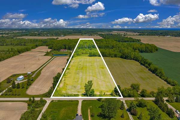 20 Acres of Land for Sale in Croswell, Michigan