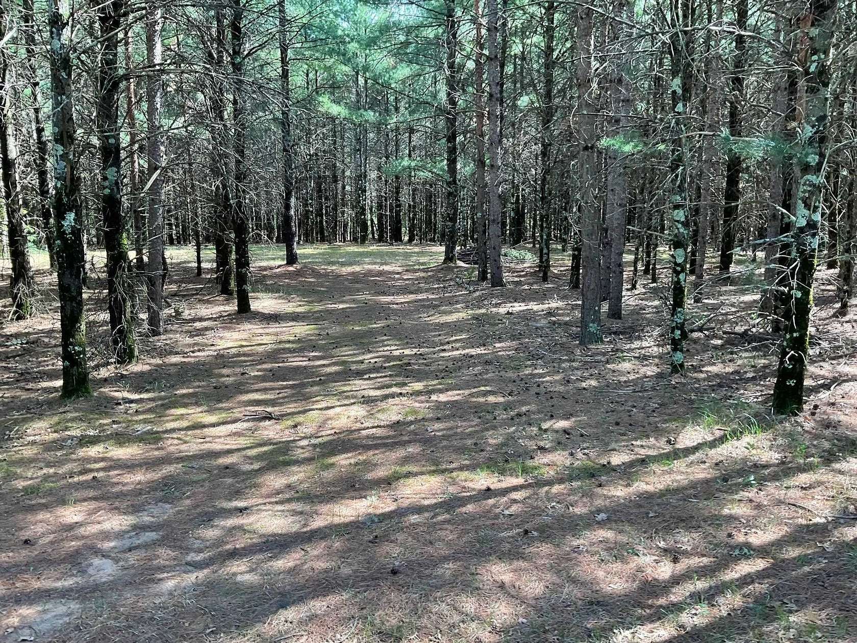 5.7 Acres of Residential Land for Sale in Friendship, Wisconsin