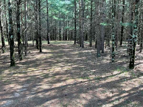 5.7 Acres of Residential Land for Sale in Friendship, Wisconsin