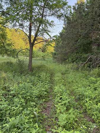 15 Acres of Land for Sale in Bangor, Wisconsin