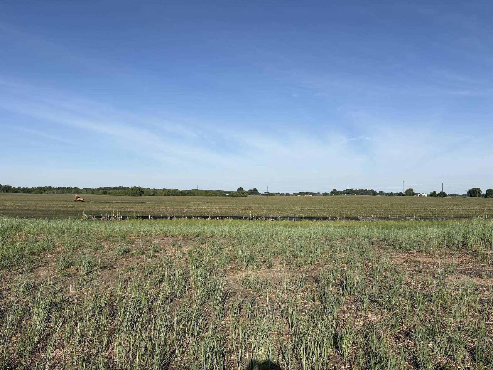 0.31 Acres of Residential Land for Sale in Maple Lake, Minnesota