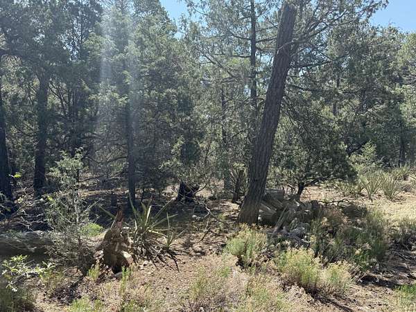 2.4 Acres of Land for Sale in Tijeras, New Mexico