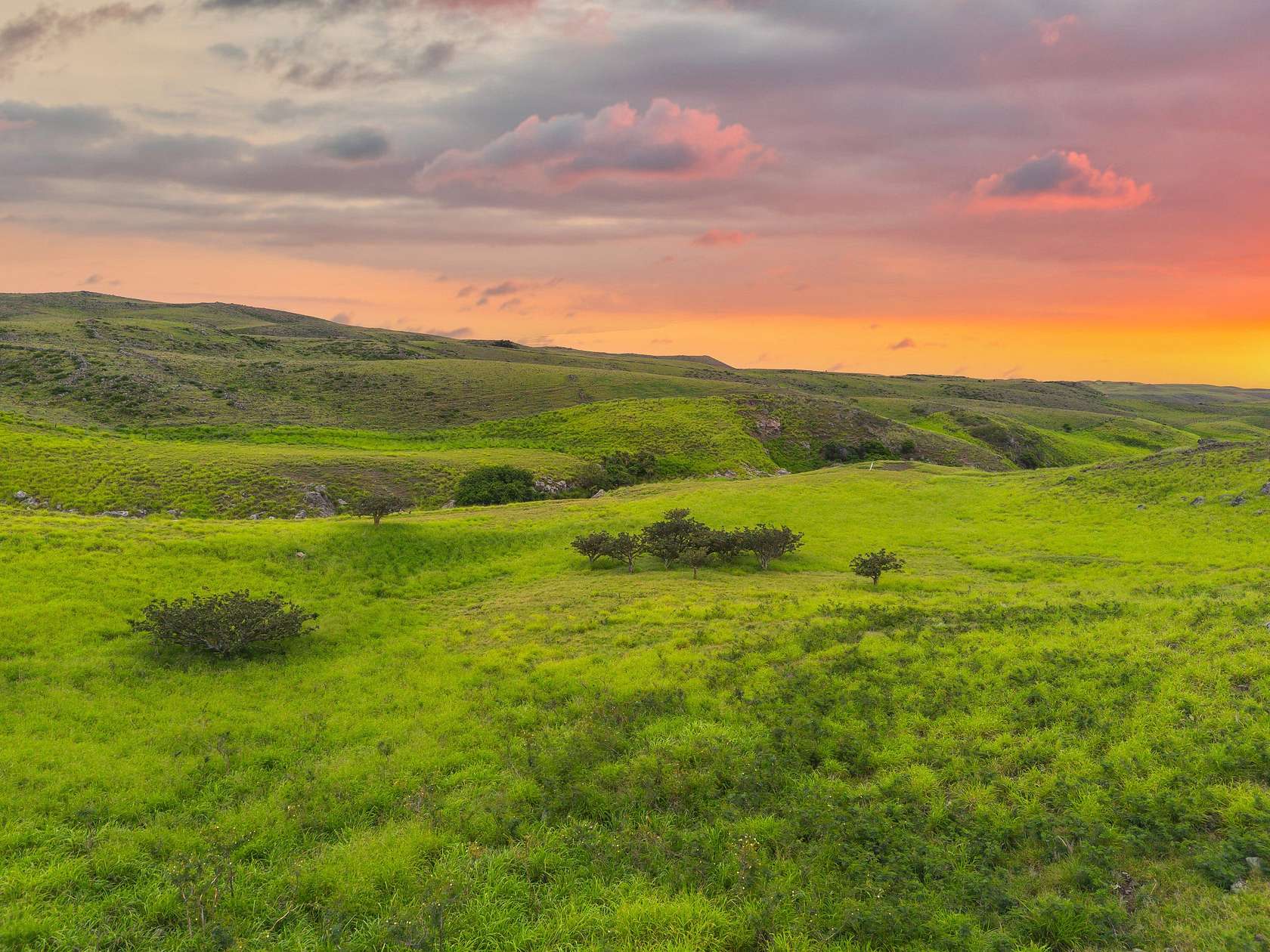12.4 Acres of Land for Sale in Waimea, Hawaii