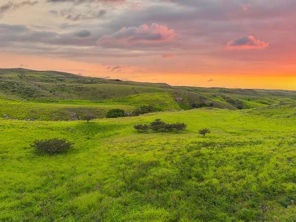 12.4 Acres of Land for Sale in Waimea, Hawaii