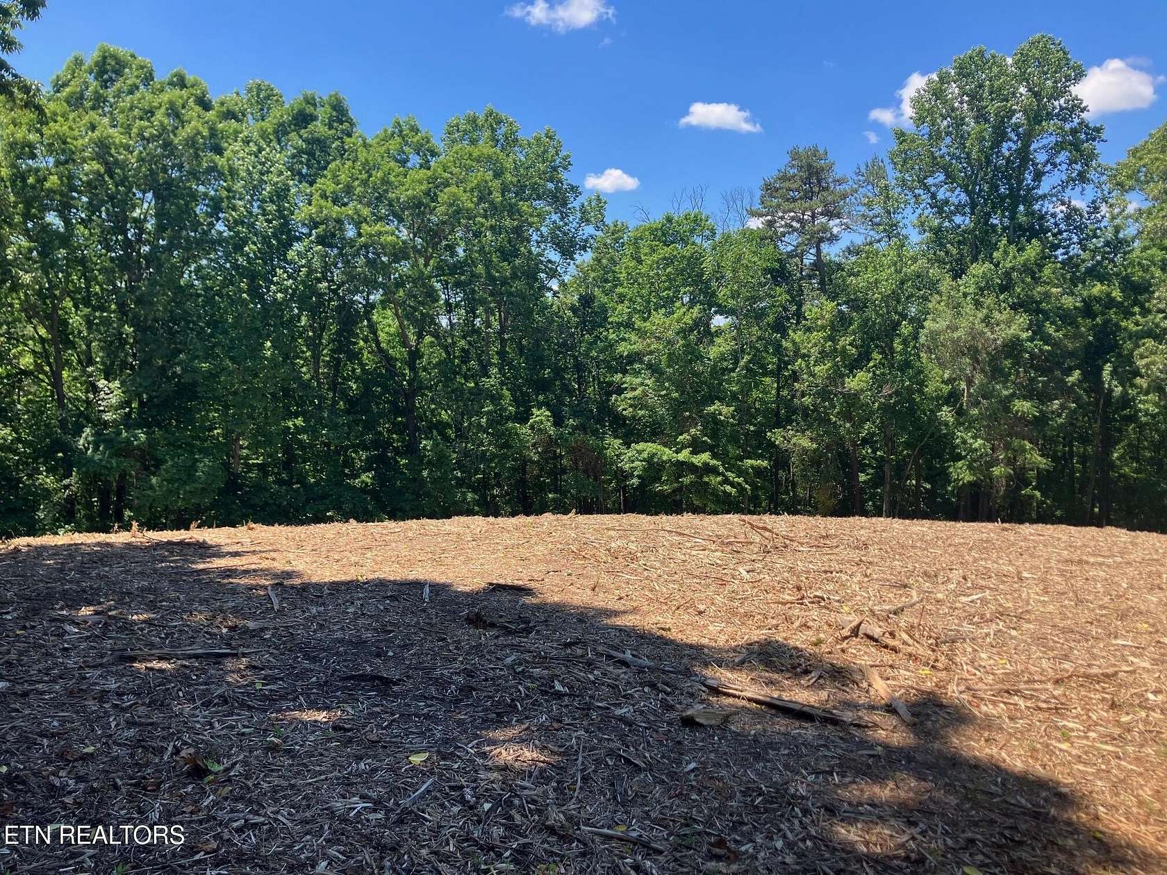 10 Acres of Residential Land for Sale in Maynardville, Tennessee