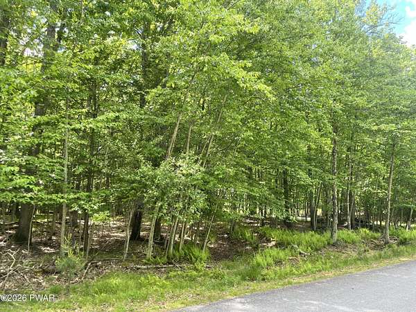 0.52 Acres of Residential Land for Sale in Tafton, Pennsylvania
