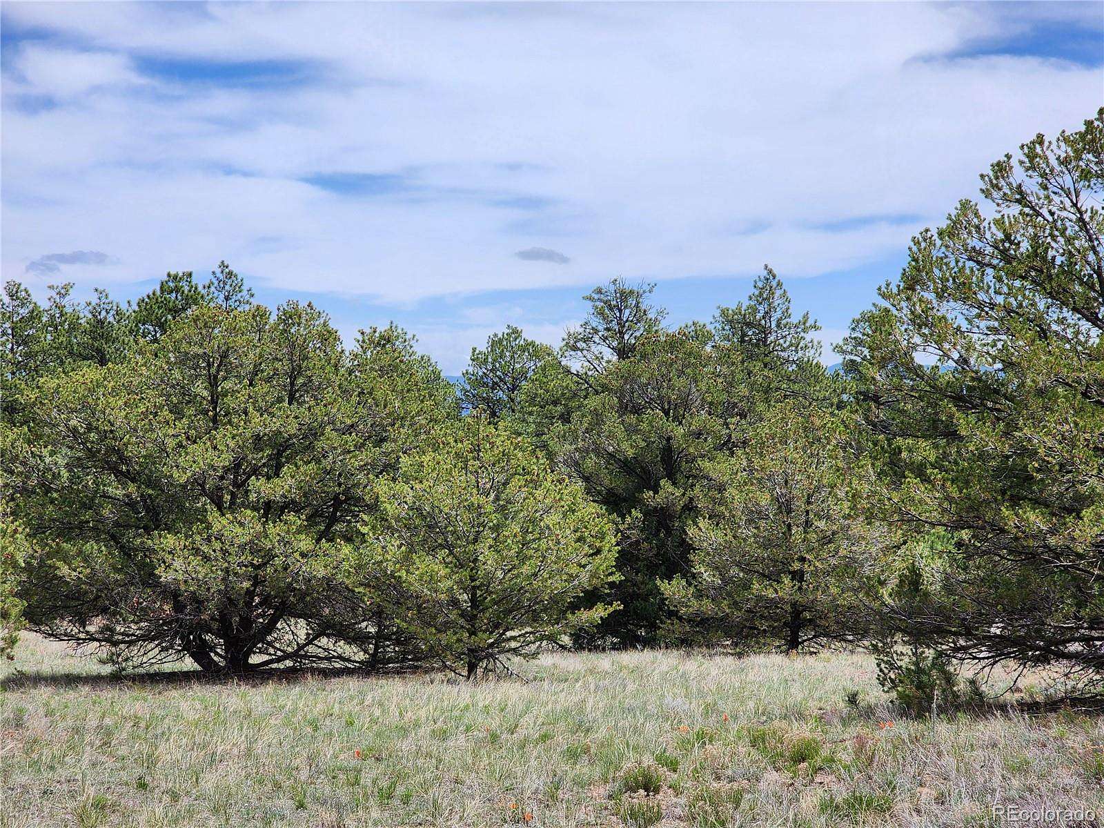 2.4 Acres of Residential Land for Sale in Cotopaxi, Colorado
