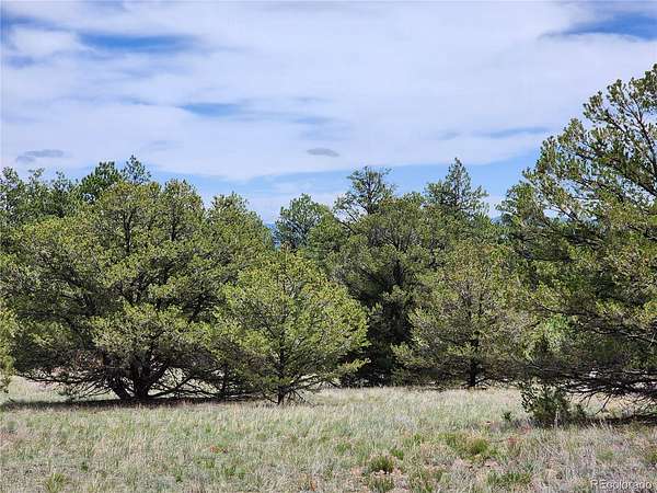2.4 Acres of Residential Land for Sale in Cotopaxi, Colorado
