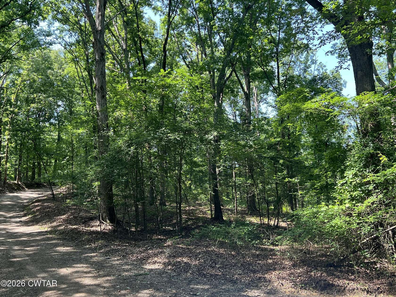 29.9 Acres of Recreational & Residential Land for Sale in Henderson, Tennessee