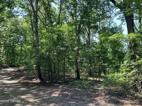 29.9 Acres of Recreational & Residential Land for Sale in Henderson, Tennessee