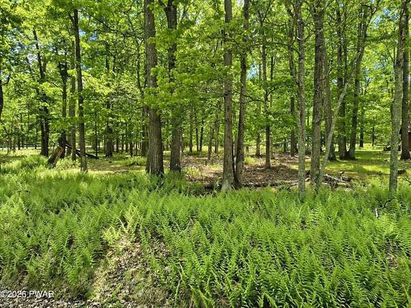 0.69 Acres of Residential Land for Sale in Hawley, Pennsylvania