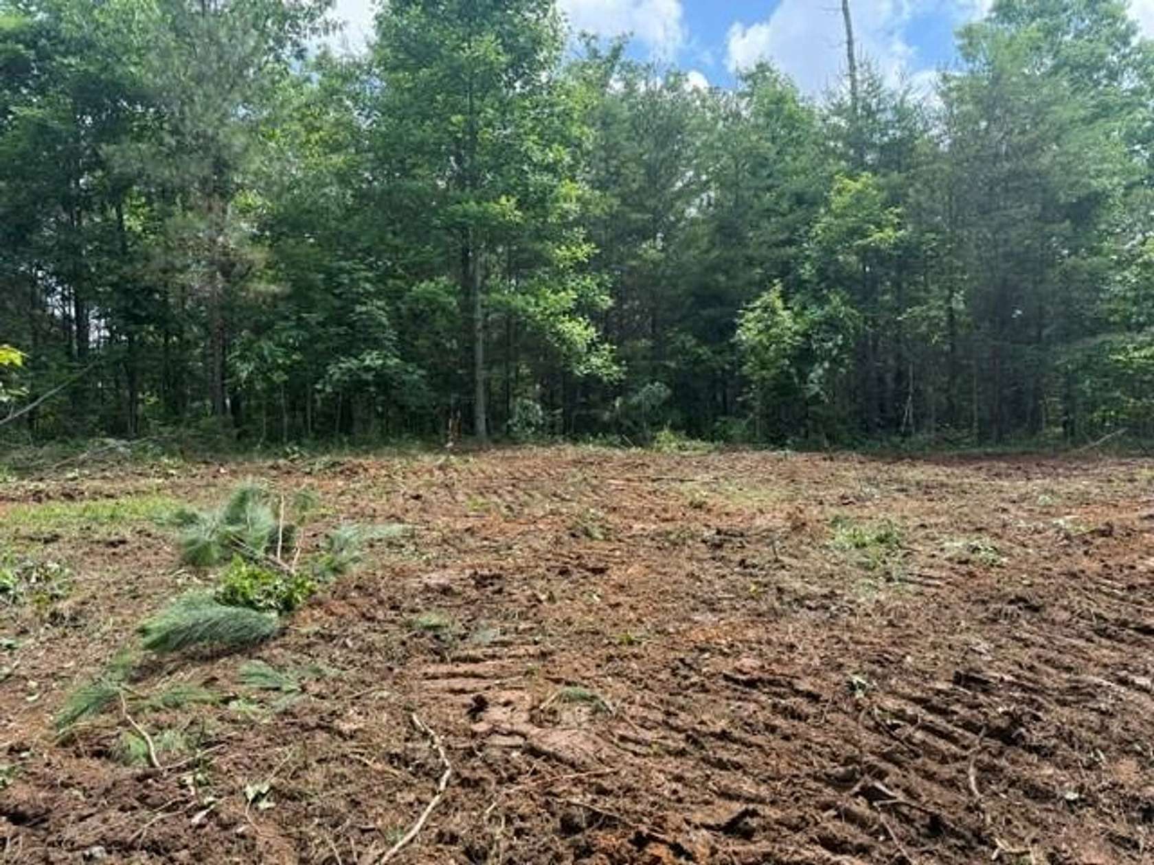 5 Acres of Recreational Land for Sale in South Pittsburg, Tennessee