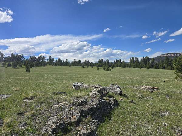 11 Acres of Recreational Land for Sale in Buffalo, Wyoming