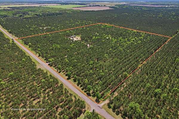 40 Acres of Recreational & Residential Land for Sale in Wisconsin Rapids, Wisconsin