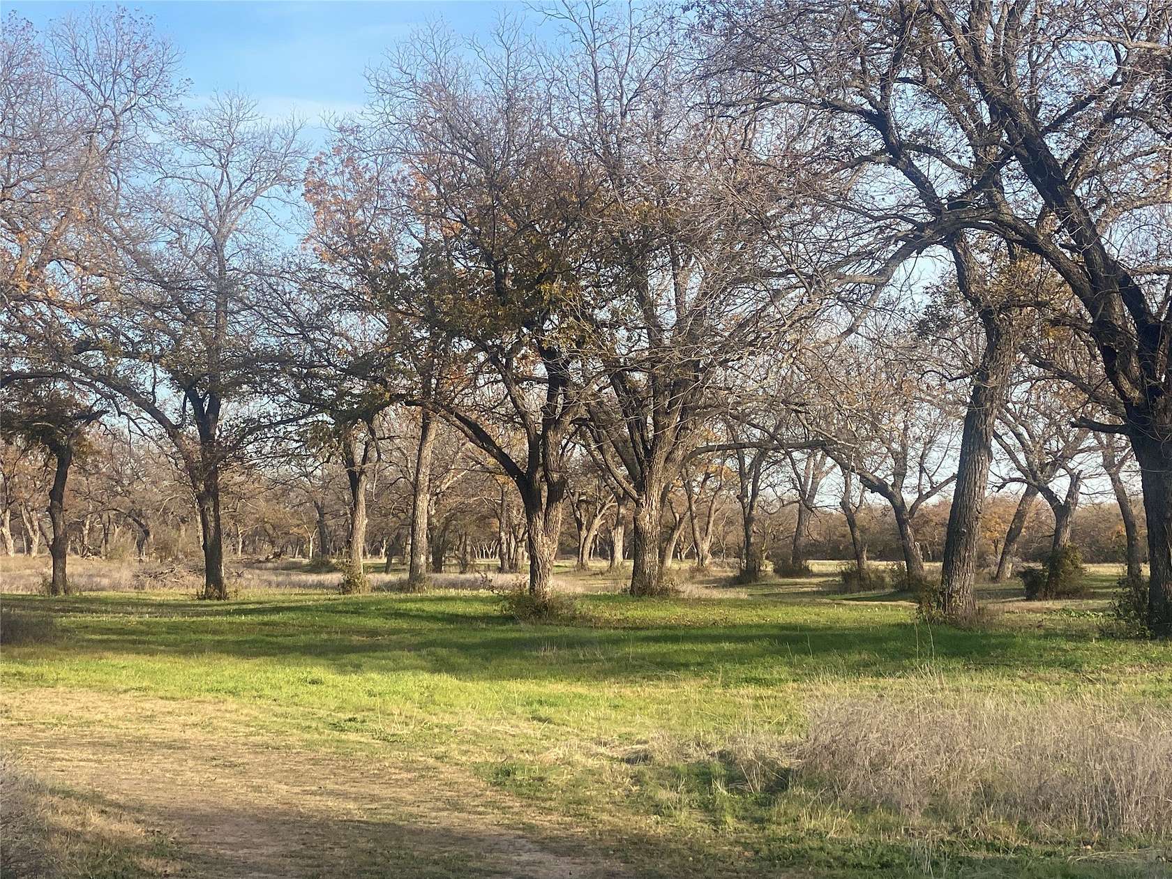 226 Acres of Land for Sale in Gustine, Texas