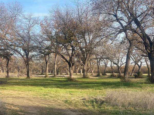 226 Acres of Land for Sale in Gustine, Texas