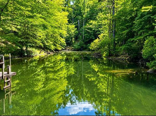 39 Acres of Land with Home for Sale in Fort Deposit, Alabama