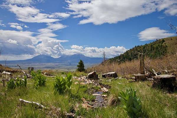 5.45 Acres of Residential Land for Sale in La Veta, Colorado