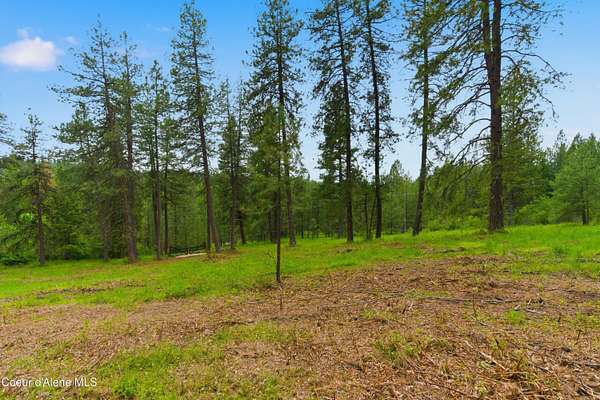 5.1 Acres of Land for Sale in Harrison, Idaho