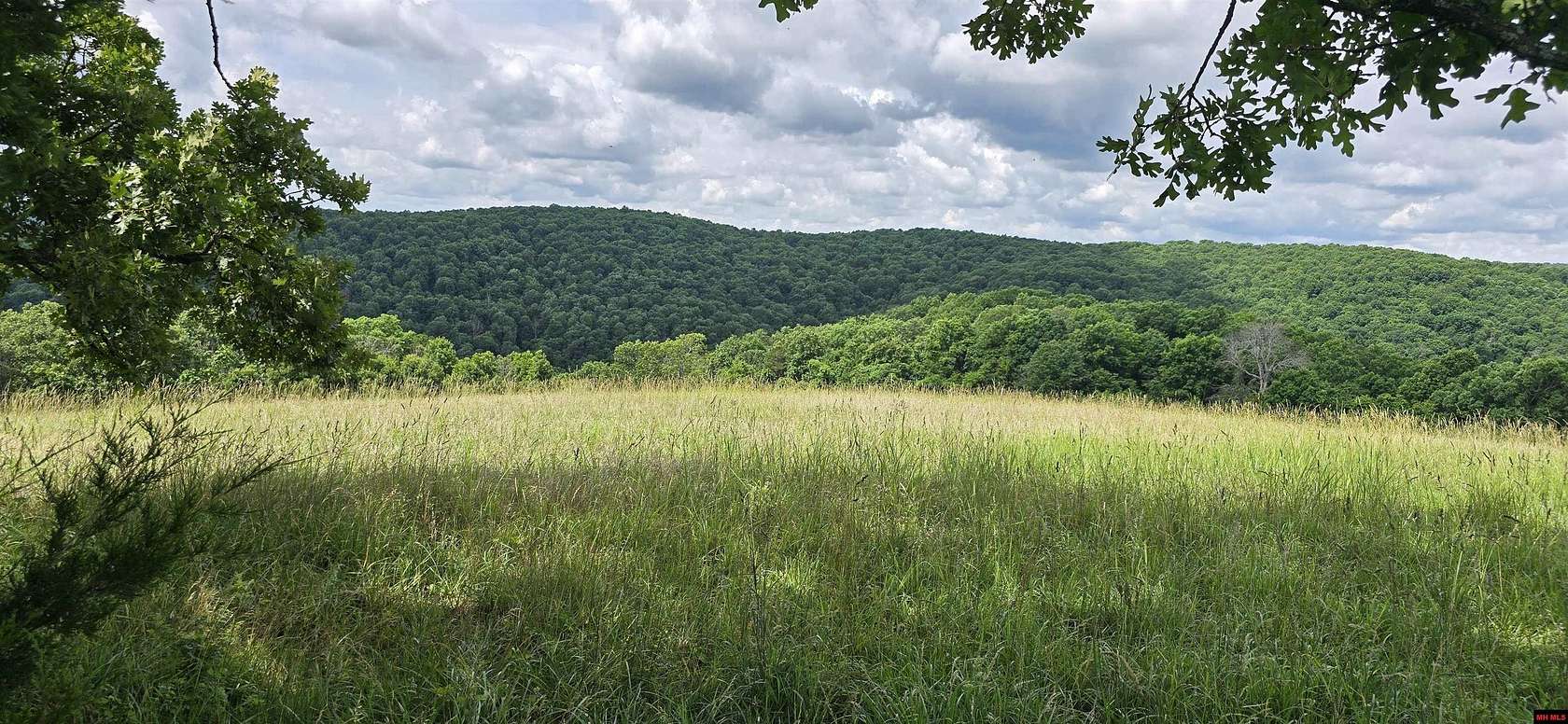 148 Acres of Recreational Land for Sale in Flippin, Arkansas