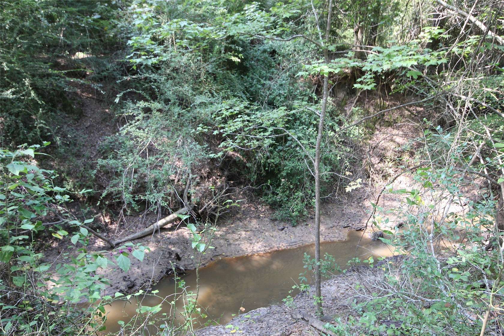 82.7 Acres of Land for Sale in Palestine, Texas