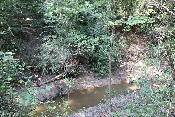 82.7 Acres of Land for Sale in Palestine, Texas