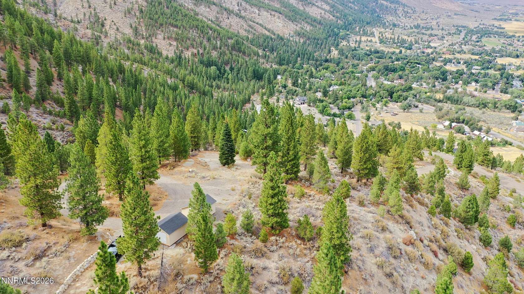 29 Acres of Recreational & Residential Land for Sale in Genoa, Nevada