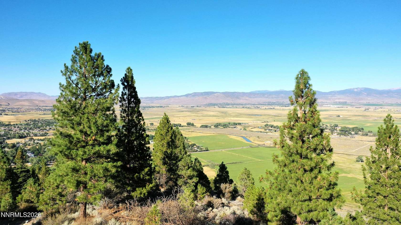 29 Acres of Recreational & Residential Land for Sale in Genoa, Nevada