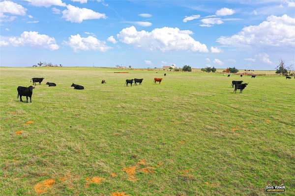 287 Acres of Improved Agricultural Land for Sale in Vernon, Texas