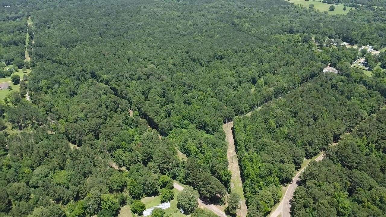 32 Acres of Recreational Land for Sale in Jefferson, Texas
