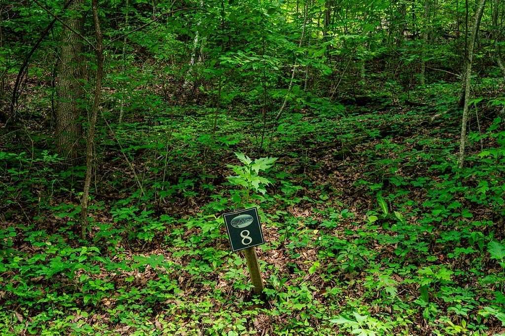 1 Acre of Residential Land for Sale in Hayesville, North Carolina