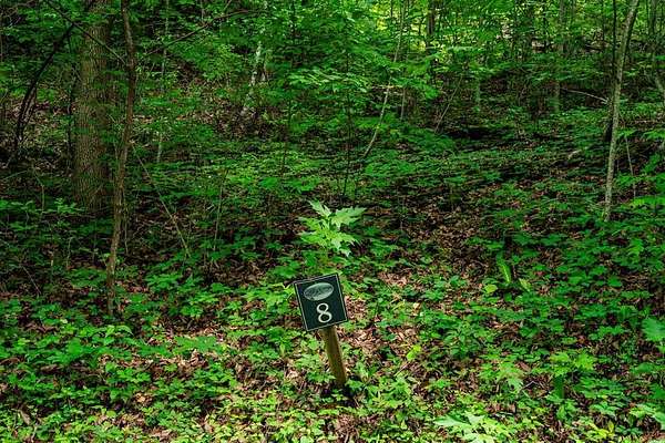 1 Acre of Residential Land for Sale in Hayesville, North Carolina
