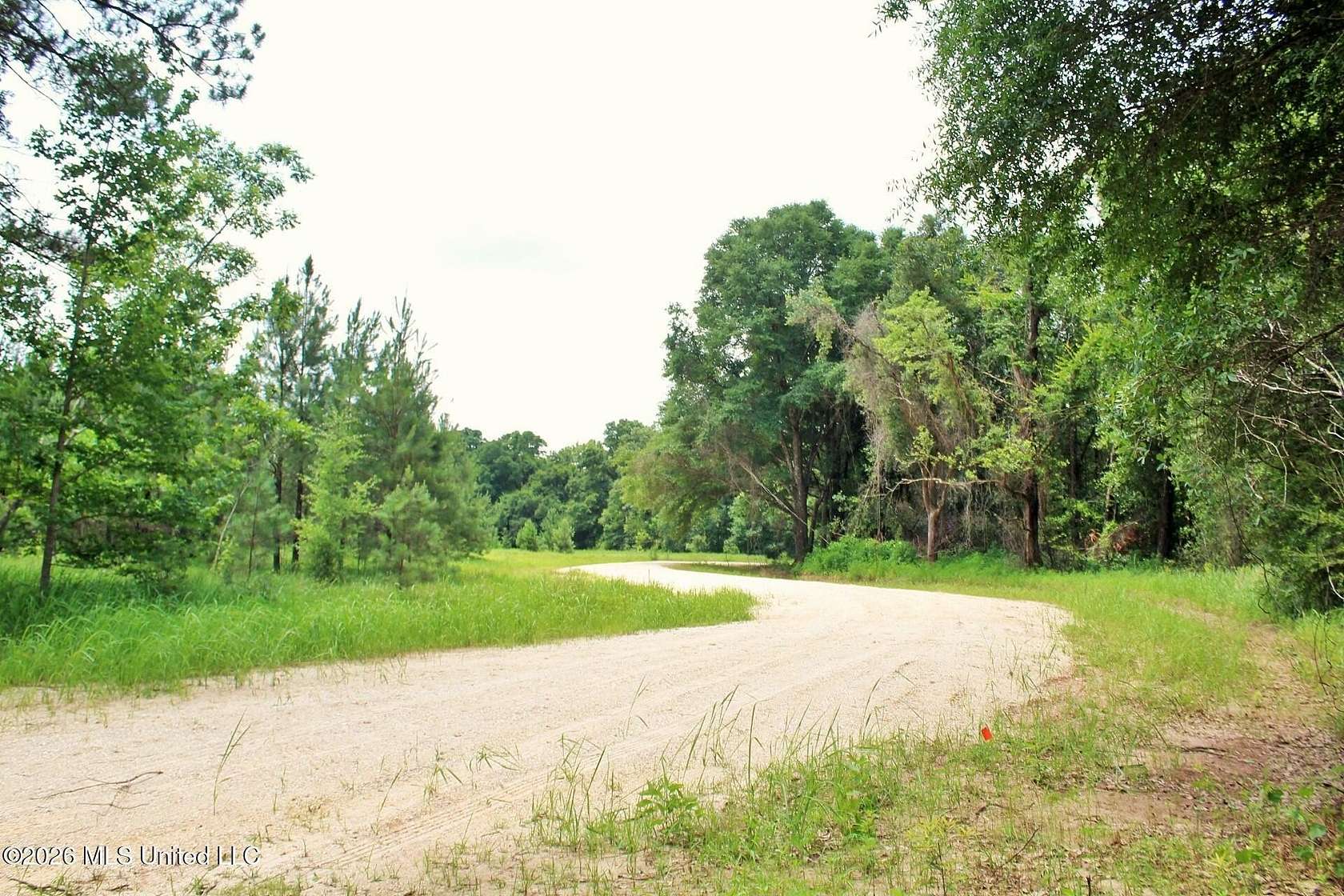 24.5 Acres of Recreational & Residential Land for Sale in Lucedale, Mississippi