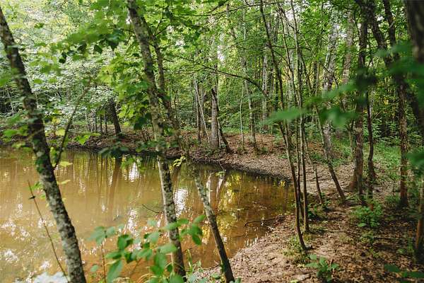 40 Acres of Recreational & Residential Land for Sale in Bogata, Texas