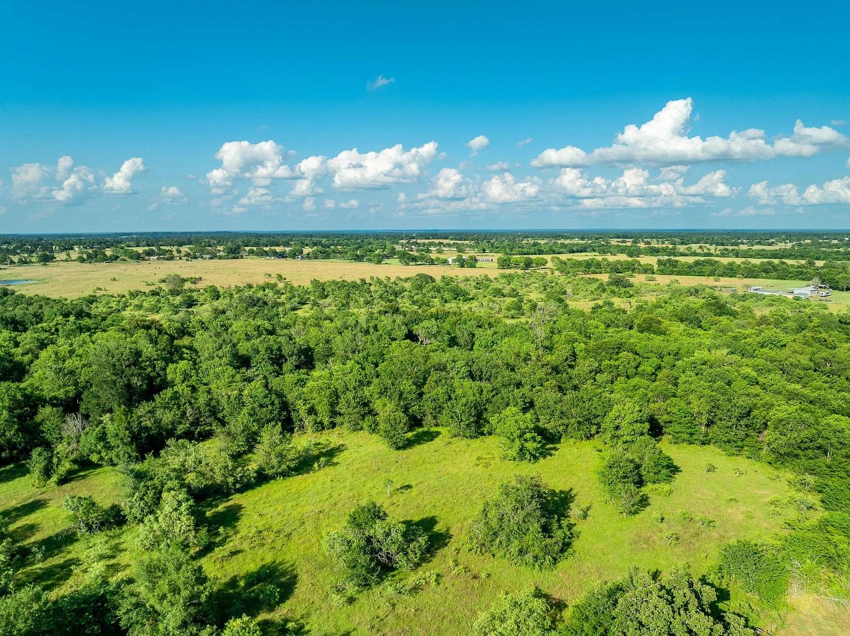 79.8 Acres of Recreational Land for Sale in Midway, Texas