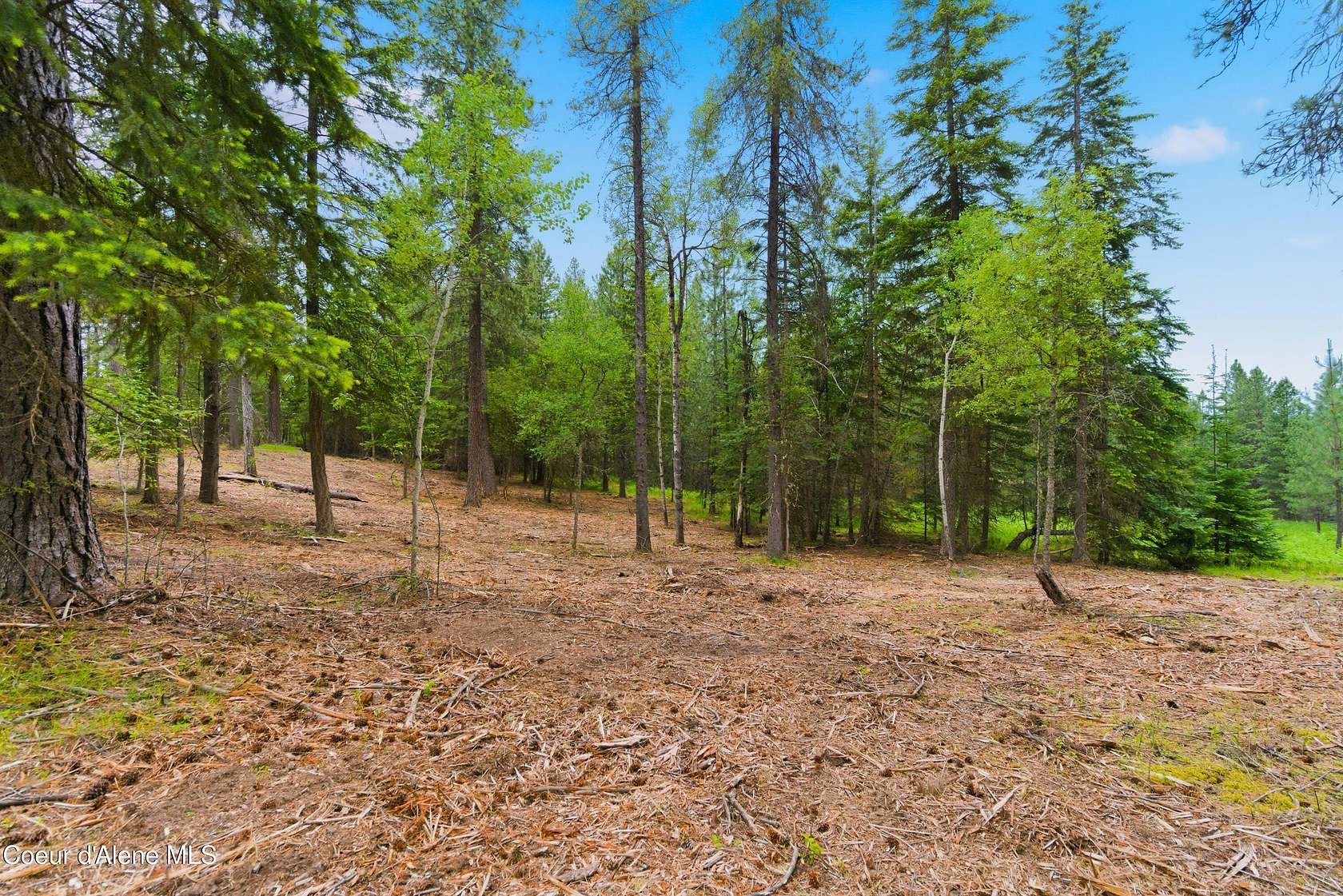 5 Acres of Land for Sale in Harrison, Idaho